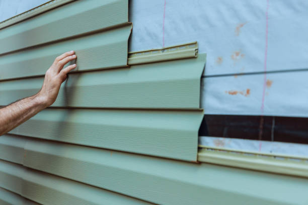 Best Siding for Commercial Buildings  in Ida Grove, IA